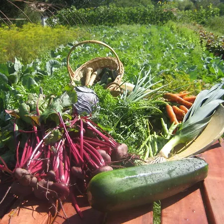 Folwark Na Półwyspie Resort