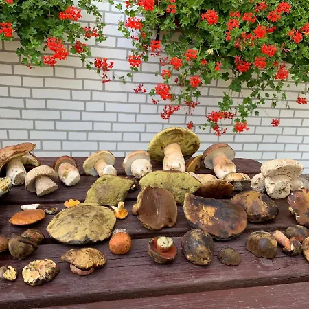 Folwark Na Polwyspie