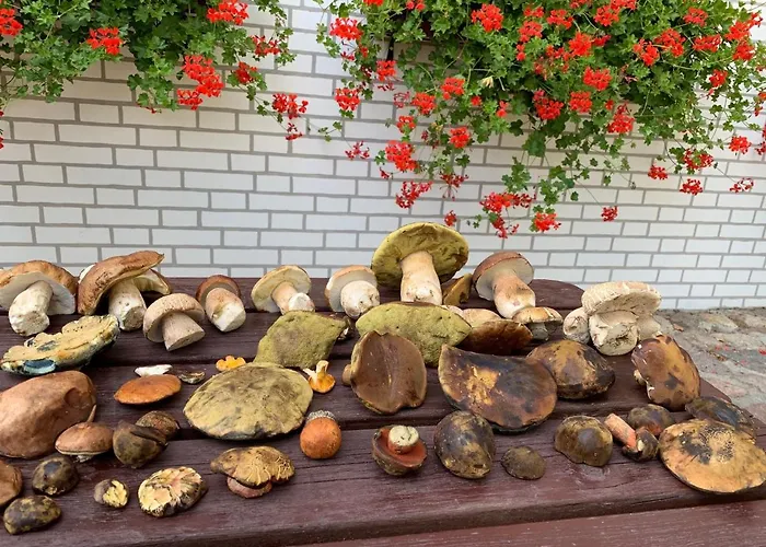 Folwark Na Półwyspie